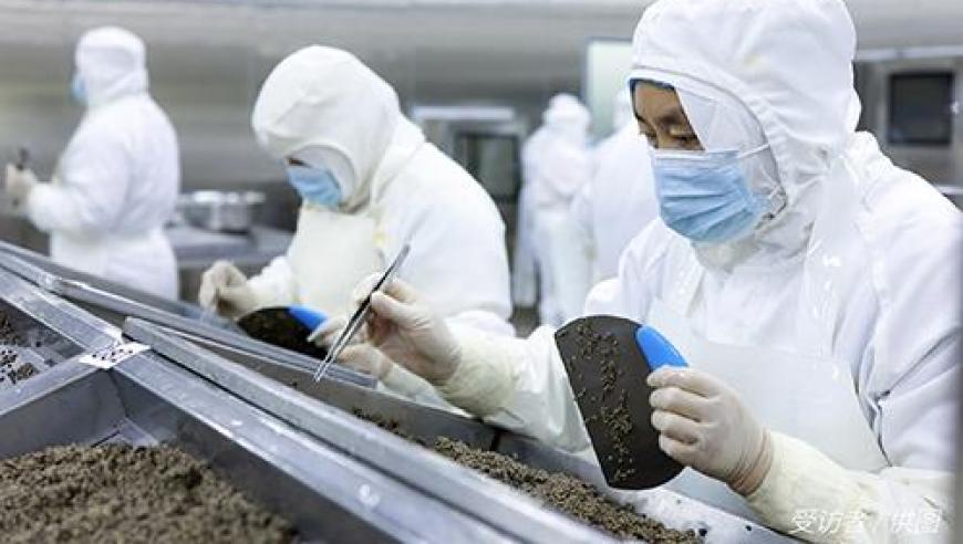 2025年澳门资料免费大全,男子为复婚假装爱上保姆被报复致死,最新正品解答落实_铂金版V15.60